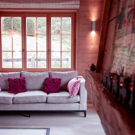 Olivier By Interhome Villars-sur-Ollon