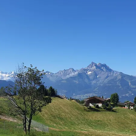 Olivier By Interhome Alpehytte Villars-sur-Ollon