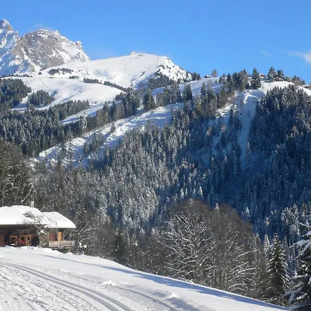 Olivier By Interhome Villars-sur-Ollon