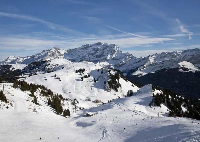 Olivier By Interhome * Villars-sur-Ollon