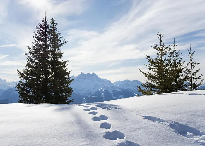 Olivier By Interhome בקתה *